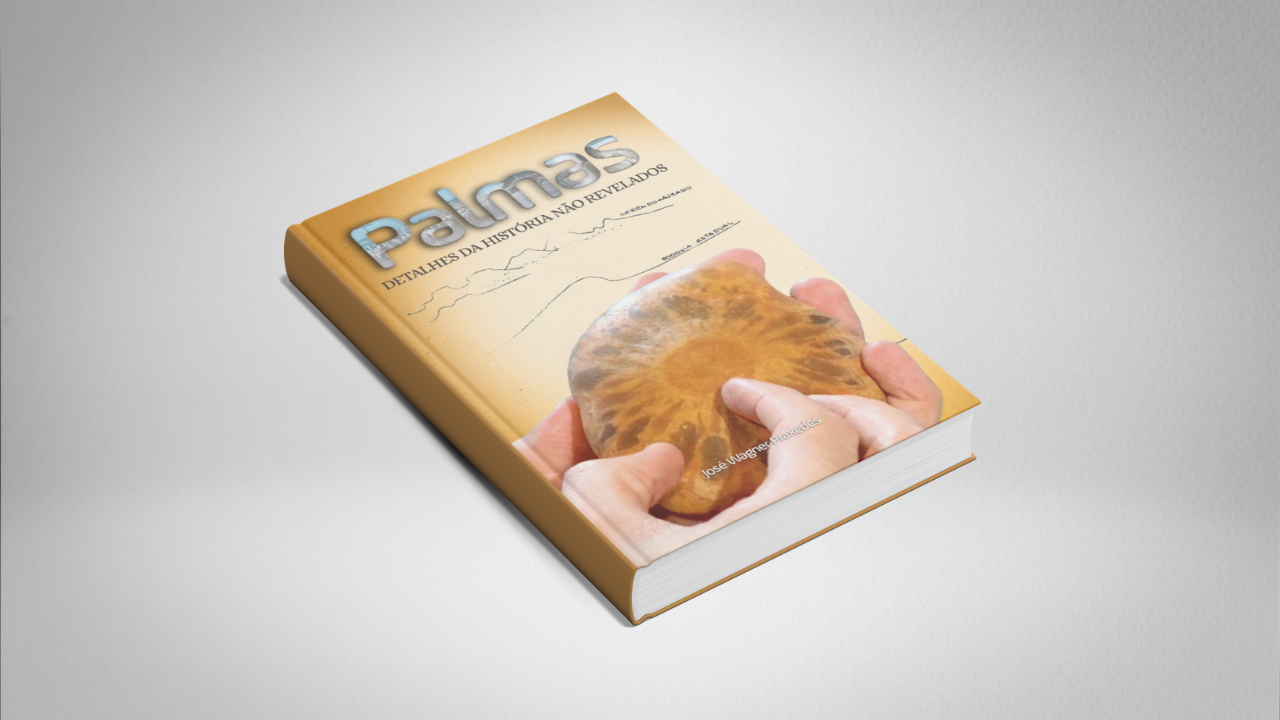 Palmas – Detalhes da História Não Revelados