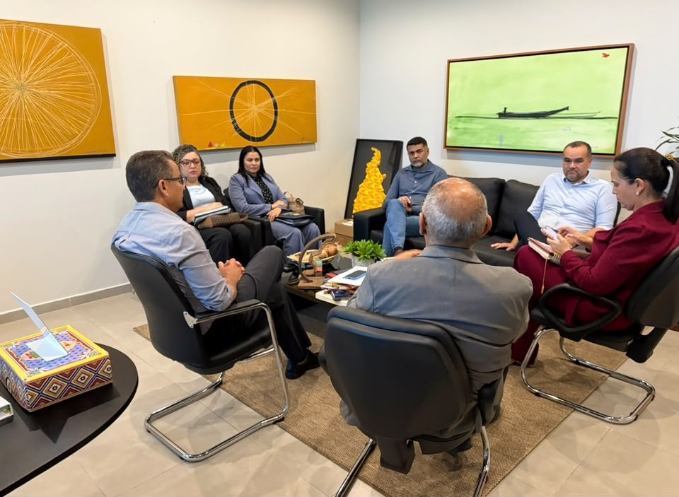 Terceira Relatoria reúne secretarias de Palmas para acompanhar reparos em obras públicas
